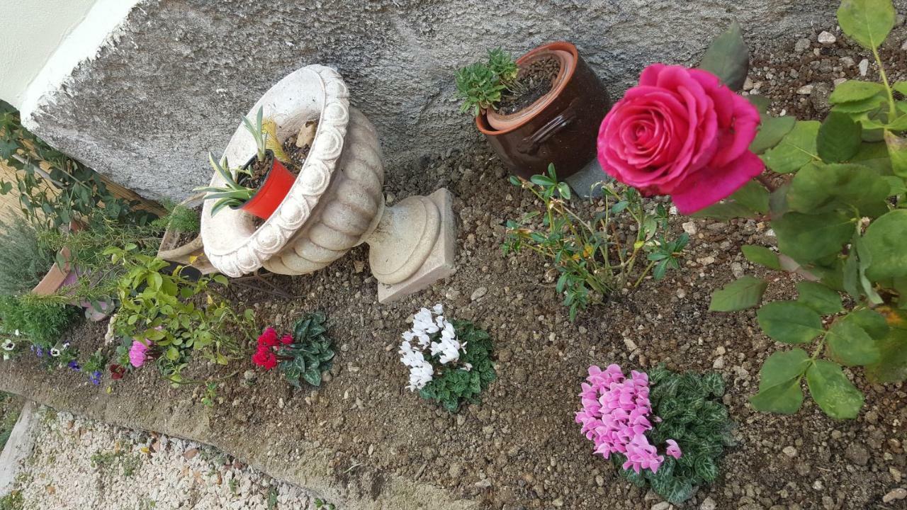 B&B In Sabina Poggio Nativo Extérieur photo